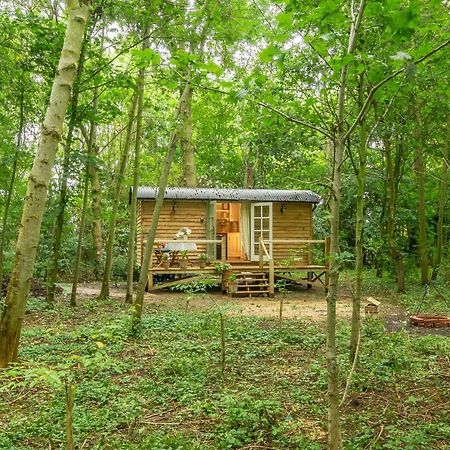 Вілла Woodland Retreat Shepherds Hut Brundish Екстер'єр фото